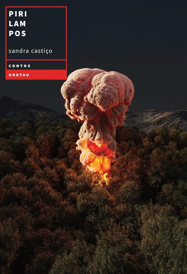 Sandra Castiço - Pirilampos