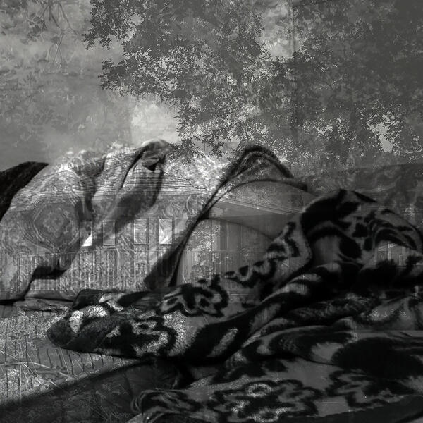 Sã Bernardo – & Fantasmas