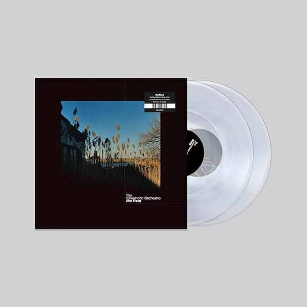 The Cinematic Orchestra – Ma Fleur