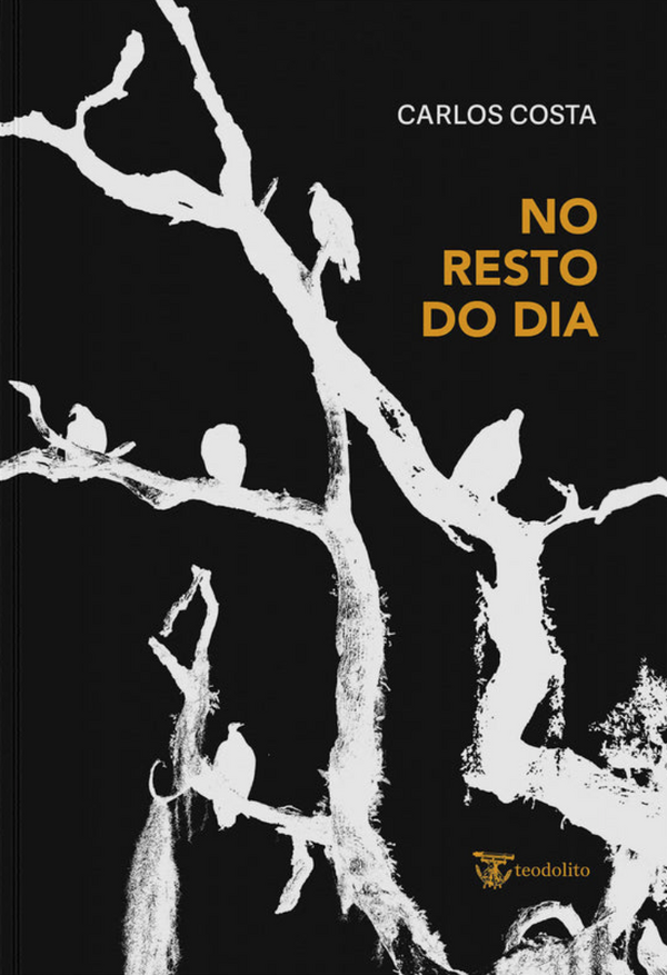Carlos Costa - No Resto do Dia