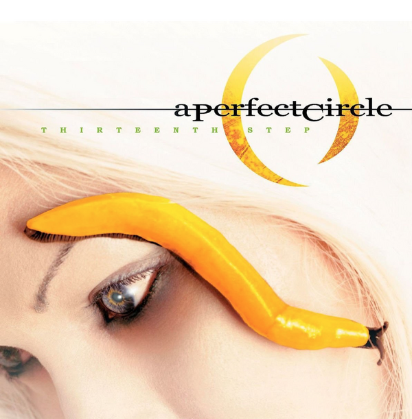 A Perfect Circle - Thirteenth Step 