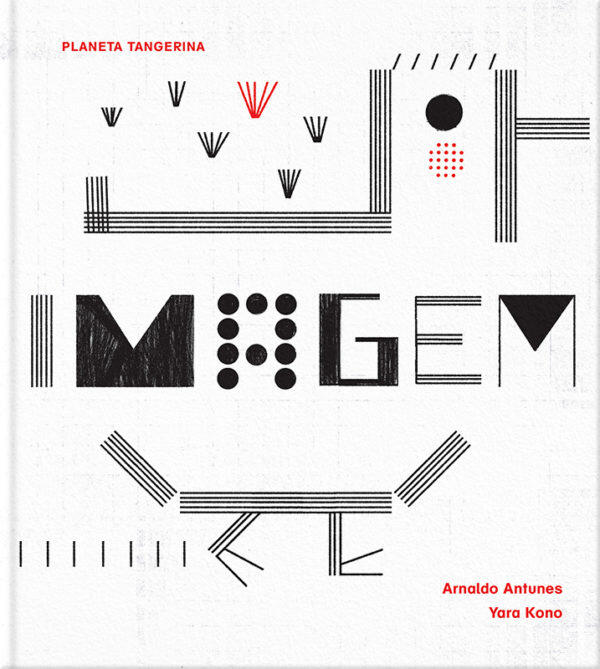 Arnaldo Antunes - Imagem