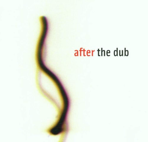 Various – After The Dub