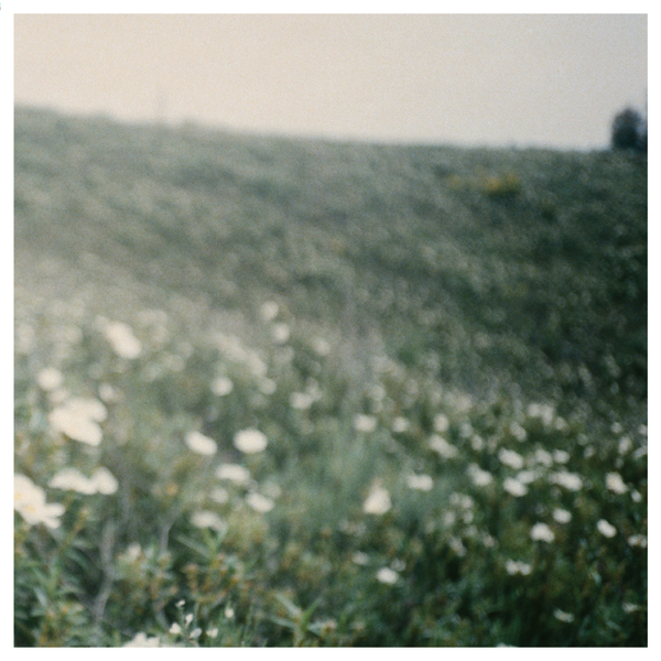 Christine Fowler – Classical And Untitled Pieces
