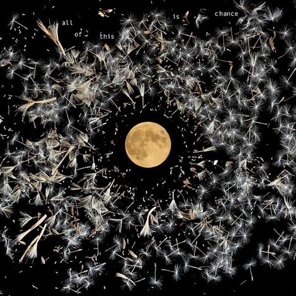 Lisa O'neill - All of This Is Chance
