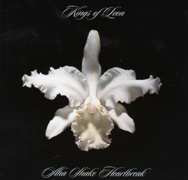 Kings Of Leon – Aha Shake Heartbreak