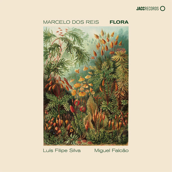 Marcelo dos Reis - Flora
