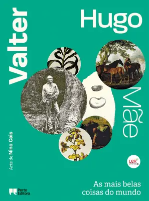 valter hugo mãe - As mais belas coisas do mundo